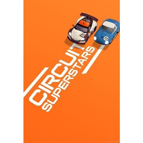 Steam Circuit Superstars (PC) Key EUROPE Cene