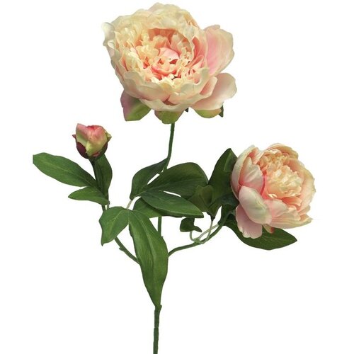  Cvet PAEONIA 70cm 11157-7 - Pink - NNT Cene