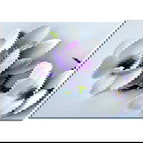Pintdecor Zidni ukras Rametto Slike