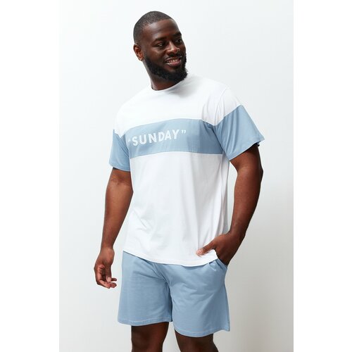 Trendyol Blue and white Color Block Regular Fit Printed Large Size Shorts Pajamas Set Cene