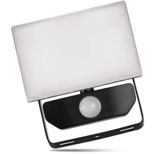 Emos LED reflektor sa PIR senzorom pokreta 10W TAMBO 1000lm NW IP54 ZS2912 Cene