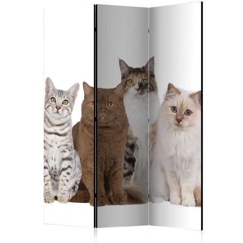  Paravan u 3 dijela - Sweet Cats [Room Dividers] 135x172 Cijene