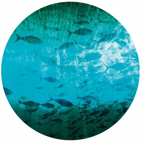  Okrugla fototapeta - A shoal of dark fish 280x280 Cene