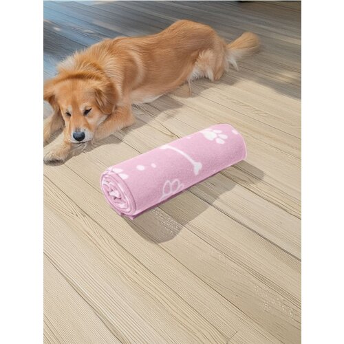 Sinsay Deka za kućne ljubimce Cijene