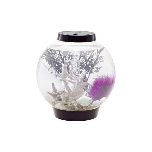 Oase Akvarij 15 l Sa LED rasvjetom 45616 Cijene