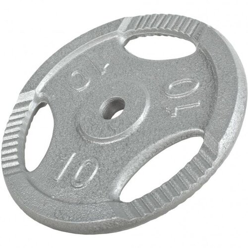 Gorilla Sports liveni teg sa rukohvatima 10 kg, 30/31 mm, sivi Slike