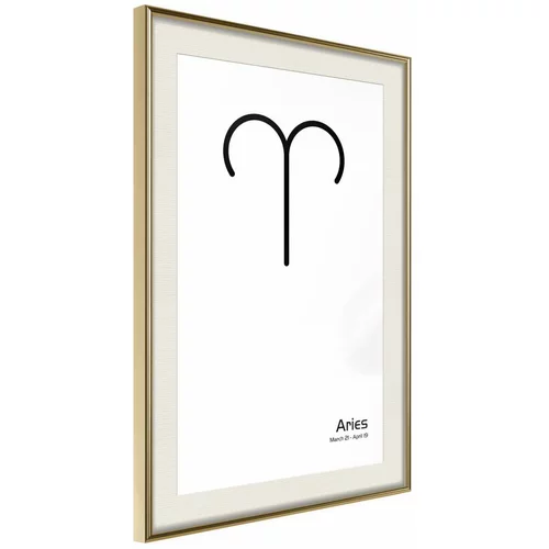  Poster - Zodiac: Aries II 20x30