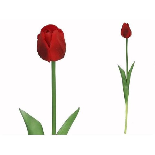  TULIPAN PVC 47CM Cijene