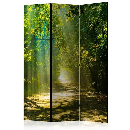  Paravan u 3 dijela - Road in Sunlight [Room Dividers] 135x172 Cijene