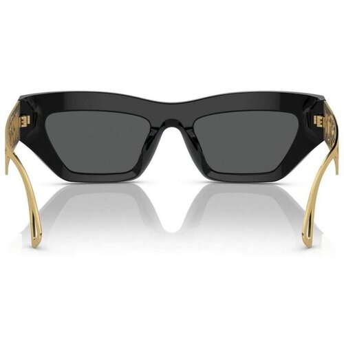 Versace naočare za sunce ve 4432U GB1/87 Slike