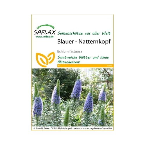 Saflax Moder - navadni gadovec Cene