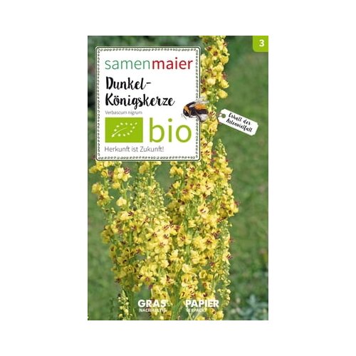 Samen Maier Divji cvet temni lučnik Cene