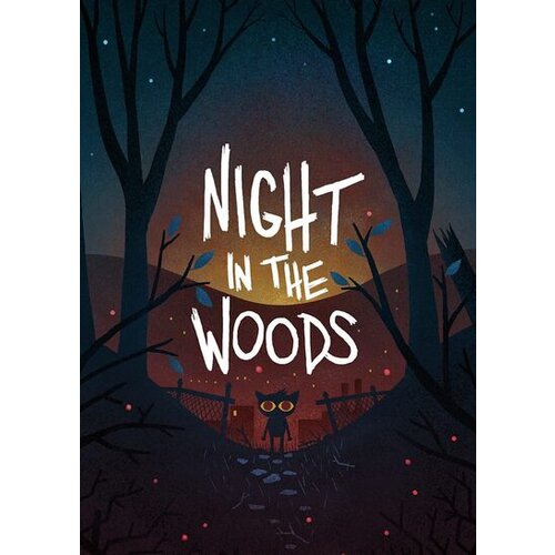 Steam Night in the Woods (PC) Key EUROPE Cene