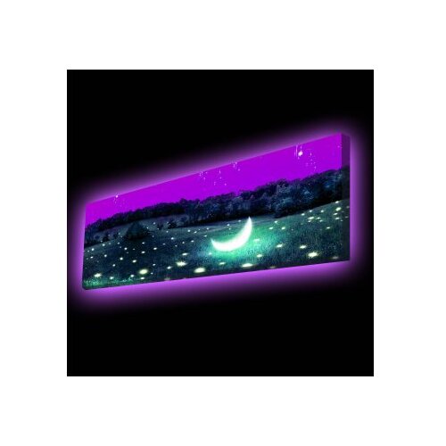 WALLXPERT Dekorativno LED osvetljeno platno sa slikanjem 3090PMDACT 003 Cene