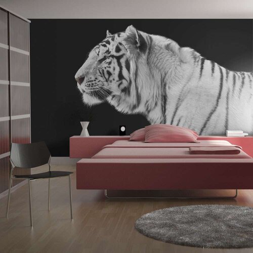  Tapeta - White tiger 350x270 Slike