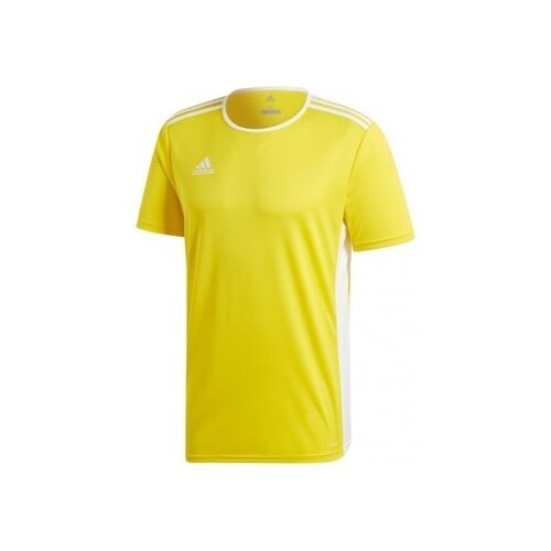 Adidas entrada 18 jsy žuta Cene