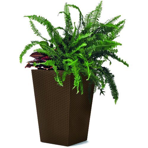 Keter Rjav vrtni cvetlični lonec Kind, višina 44 cm Cene