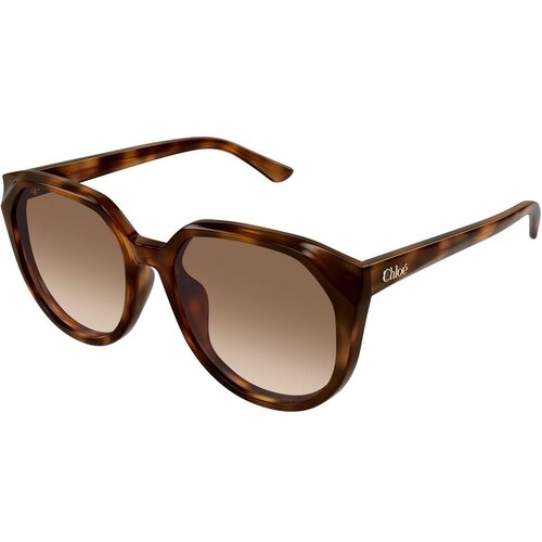 Chloe CH0291SK 003 ONE SIZE (58) Havana/Rjava Slike