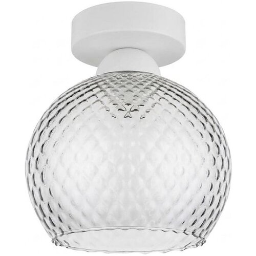 Brilagi LED plafonsko svetlo R GLASS 1xE27/60W/230V prečnik 18 cm bela/zadimljeno siva Cene