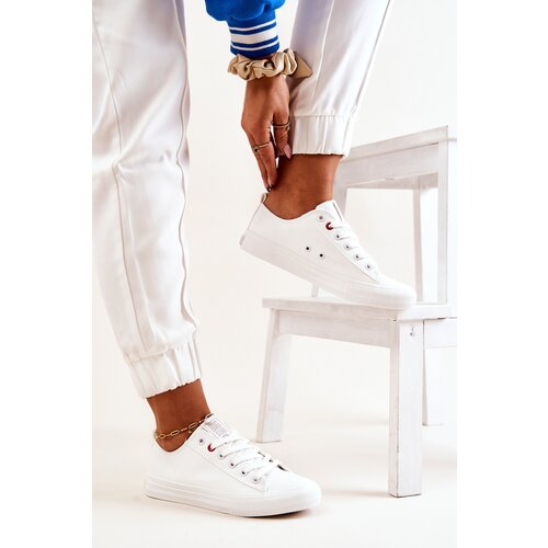 Big Star Low Trainers Cijene