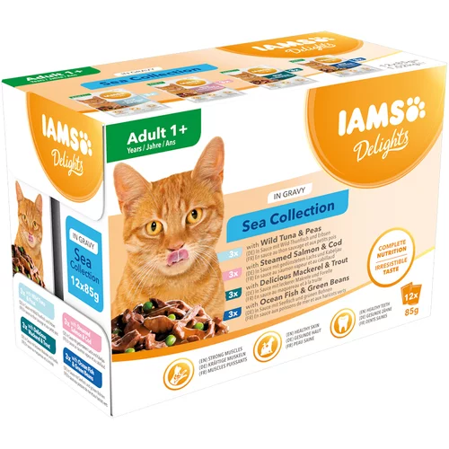 IAMS 36 + 12 gratis! 48 x 85 g mokra hrana za mačke - Delights Adult: Sea Mix u umaku