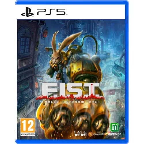Microids F.I.S.T.: Forged In Shadow Torch (Playstation 5)