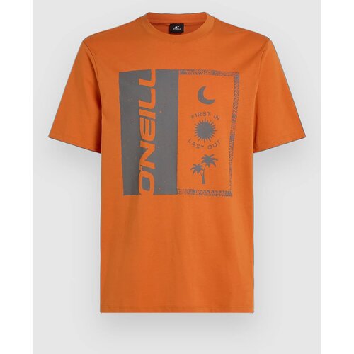 O'neill Front Print T-shirt cinnamon stick Cene