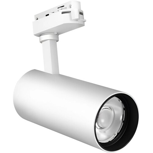 Braytron LED Šinski Reflektor 30W Beli 3000K Monofazni BD30-01600 Cene