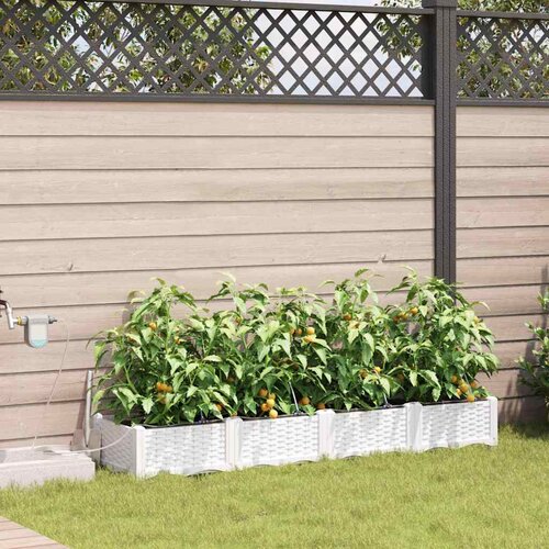  Vrtna saksija 4 pcs Bijeli 160 x 40 x 22 cm Plastika Cene