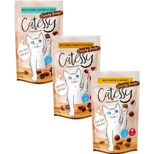 Catessy Ekonomično pakiranje hrskave grickalice 15 x 65 g - Mješovito pakiranje (3 vrste) Cijene
