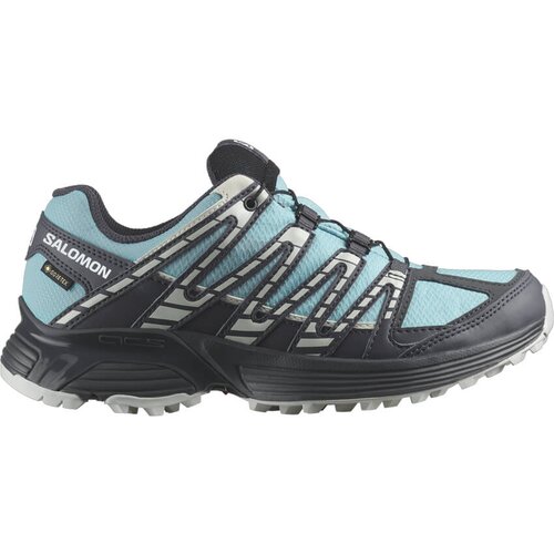 Salomon ženska obutev za tek XT RECKON GTX W P23 Modra Slike