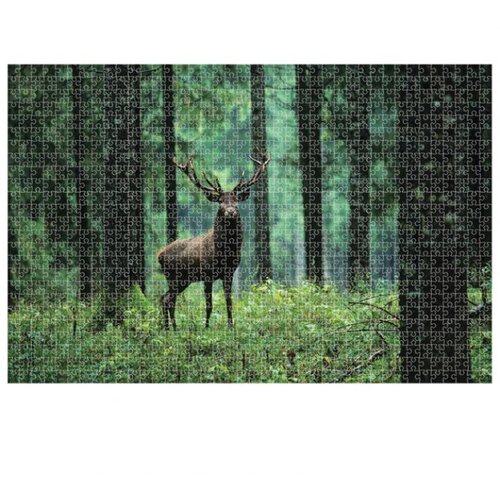  1000 KOM ANIMAL PLANET DEER DIAKAKIS 000570696 Slike