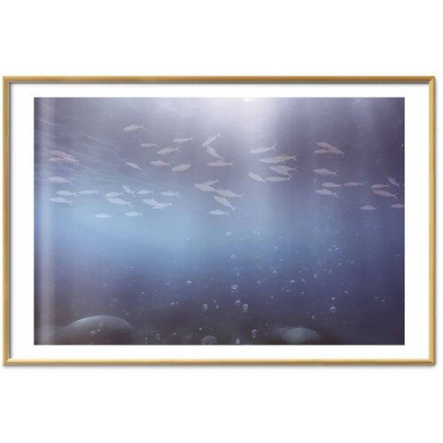  Plakat - Fish in the Depths 42x29.7 Zlatni okvir s margom Cene