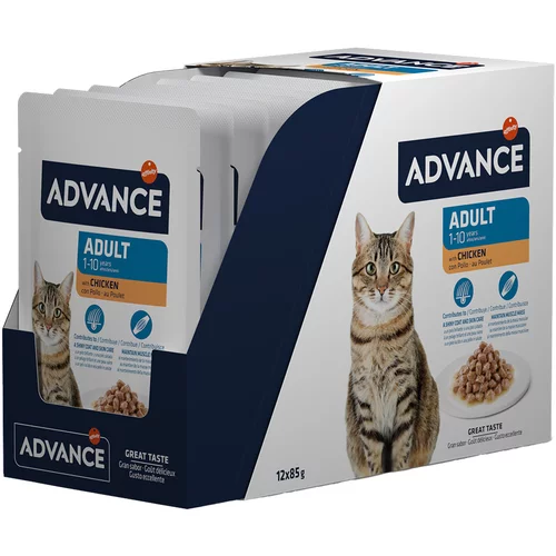 Affinity Advance Advance Feline Adult piščanec - 12 x 85 g