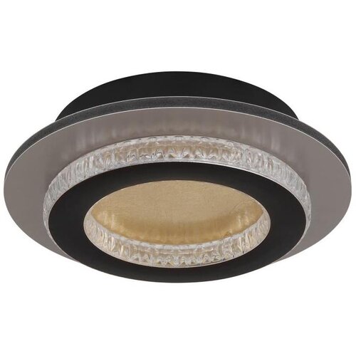 Globo 48042-12G - led plafonsko svetlo jayden LED/12W/230V prečnik 20 cm crna Cene