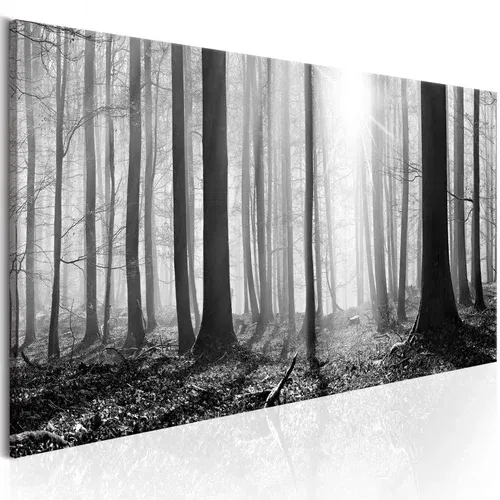  Slika - Black and White Forest 150x50