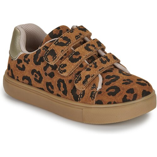 Bonton BASIL SCRATCH Smeđa Slike