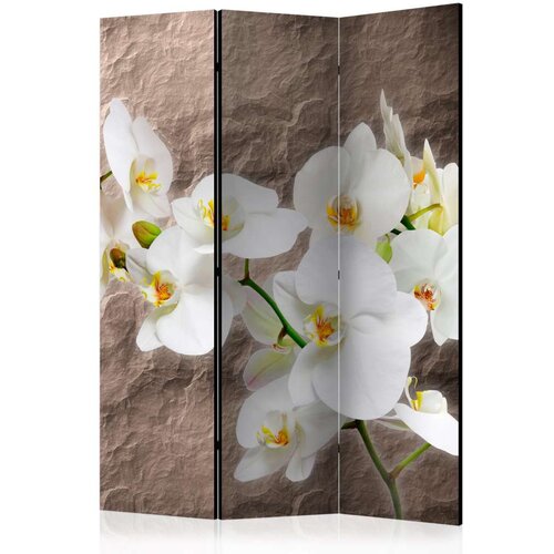  Paravan u 3 dijela - Impeccability of the Orchid [Room Dividers] 135x172 Cijene