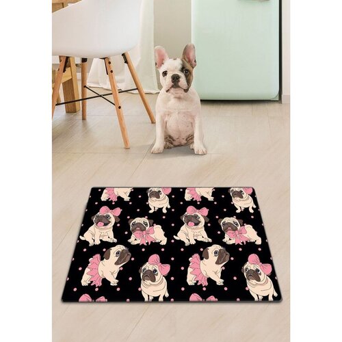 Paws & Whiskers prostirka za pse Lujoso, 40x60, crna Cijene