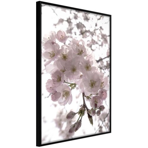  Poster - Spring Visit 20x30 Slike