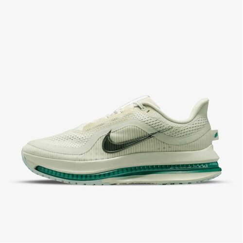 Nike W pegasus premium Cene