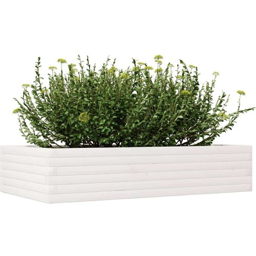  Vrtna sadilica bijela 110x60x23 cm od masivne borovine Slike