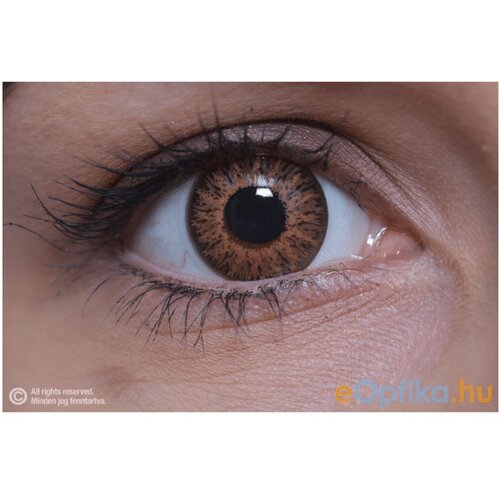 ColourVUE Glamour Honey (2 sočiva) Cene
