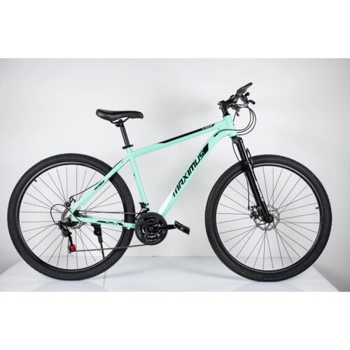 Winner Bike Bicikle BIC. 29"/21 MAXIMUS GREEN Cene