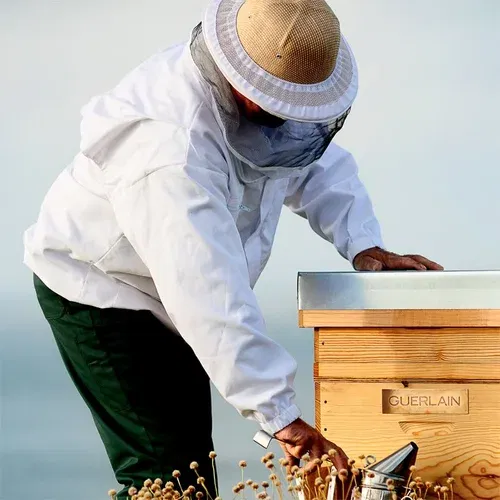 Guerlain abeille royale daily repair serum za lice protiv bora 30 ml