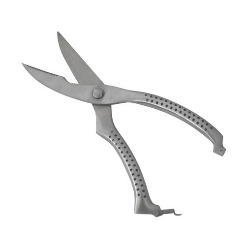 Eva Škarje za piščanca Exclusive 25cm / inox, (20455141) Cene