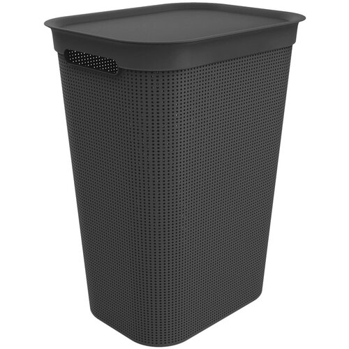 Rotho Plastični koš za perilo 50 l Brisen - Rotho Cene