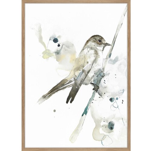 Malerifabrikken Plakat z okvirjem 50x70 cm Bird 2 – Cene
