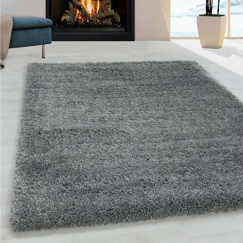 XXXL Preproga Fluffy, 140x200cm, Svetlo Siva Slike