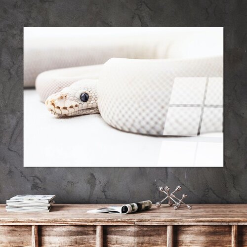 Wallity slika UV-153, 70 x 100 cm Cijene